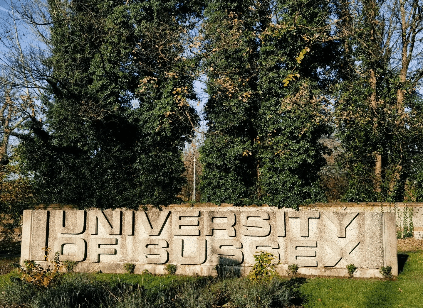 【英国】萨塞克斯大学