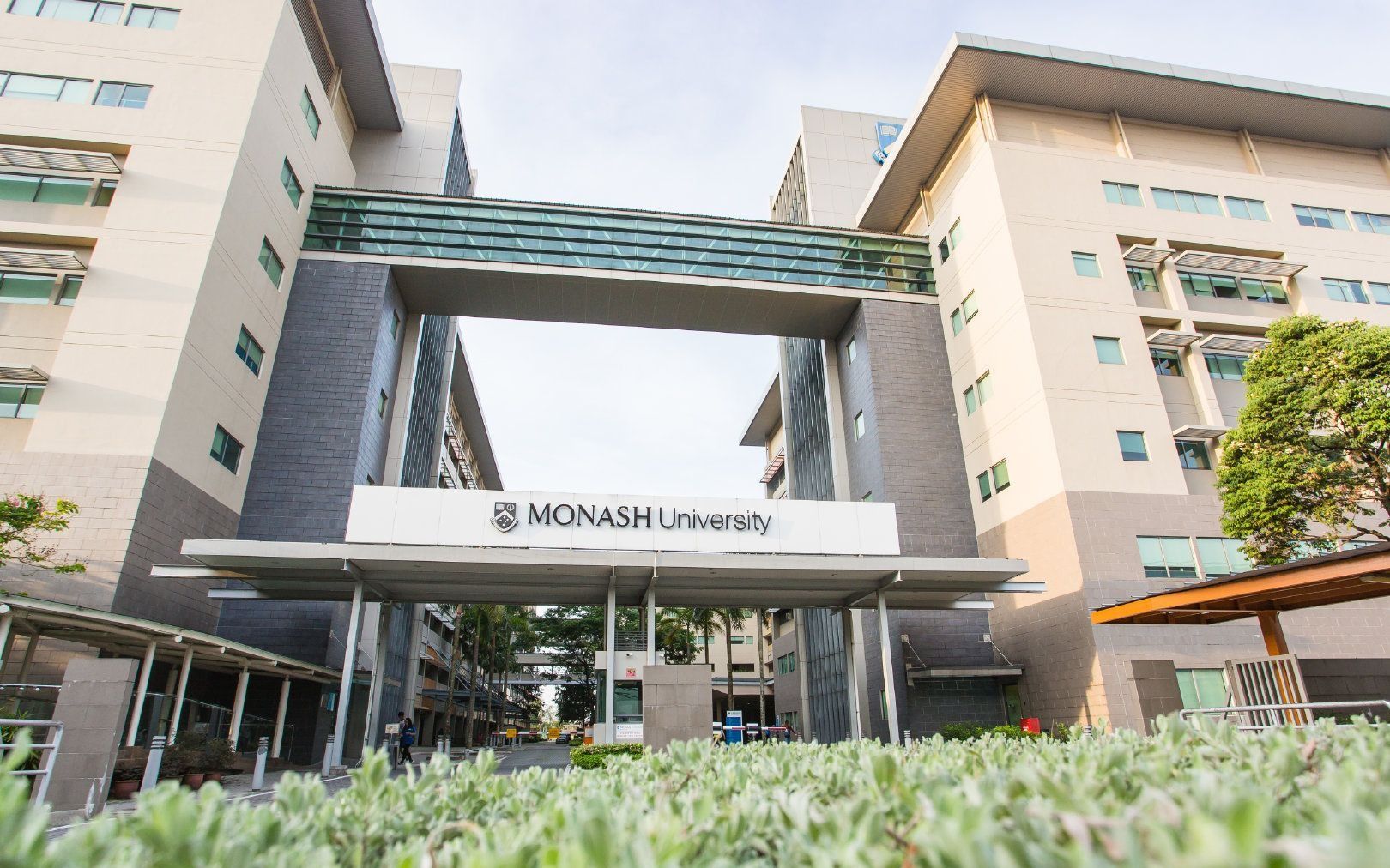 【马来西亚】蒙纳...